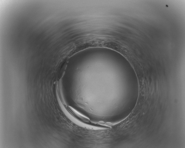 X0000067491013200604101249