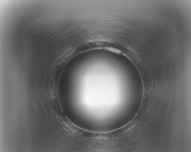 X0000067491014200604101249