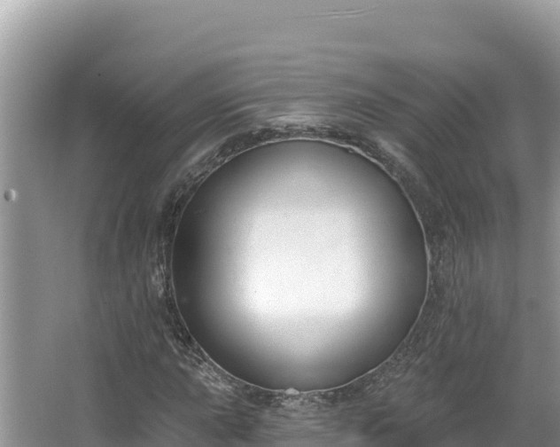 X0000067491015200604101249