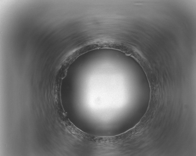 X0000067491016200604101249