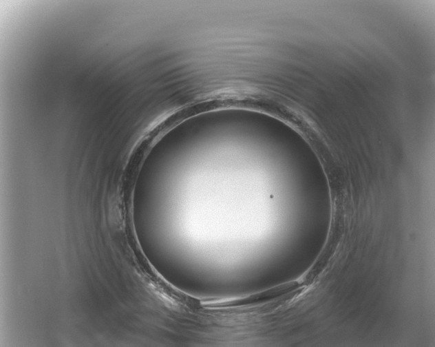 X0000067491018200604101249