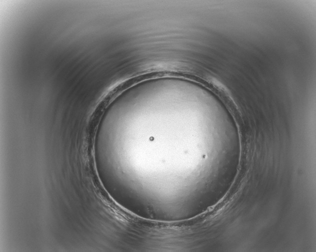 X0000067491019200604101249