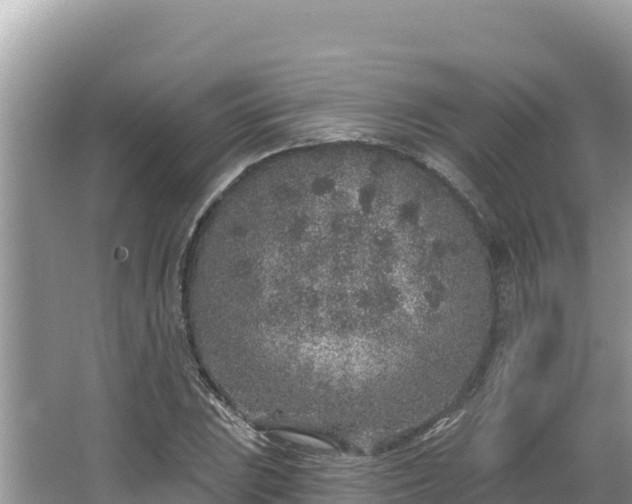 X0000067491023200604101250