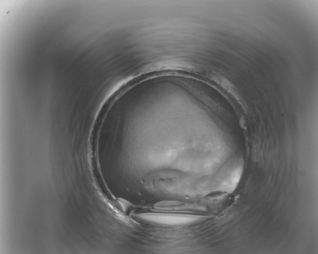 X0000067491024200604101250