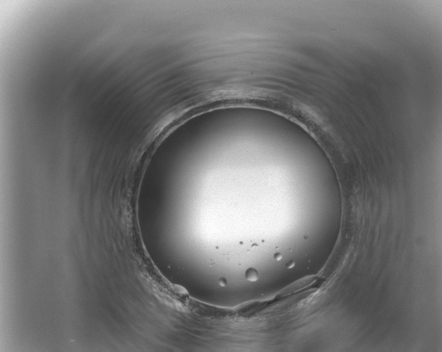 X0000067491025200604101250