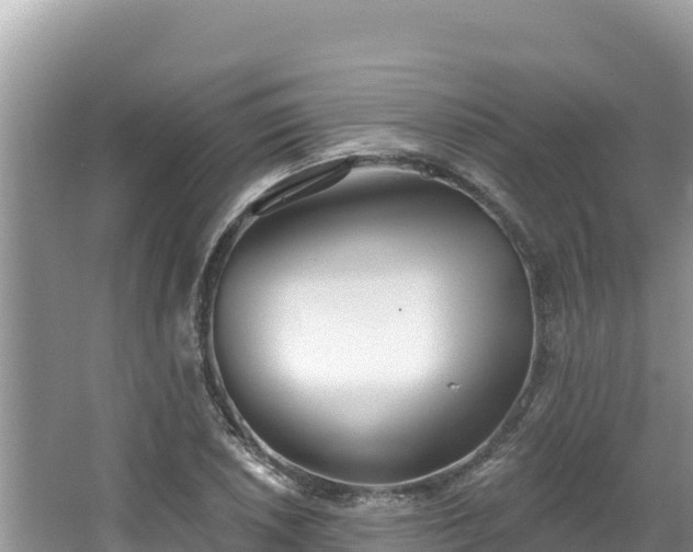 X0000067491026200604101250