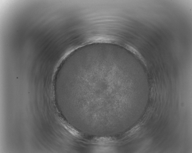 X0000067491027200604101250