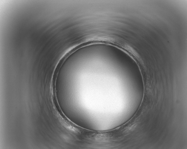 X0000067491028200604101250