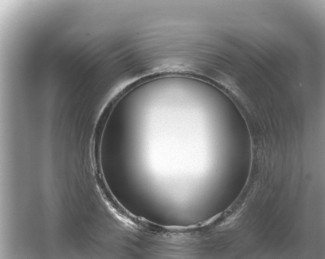 X0000067491030200604101250