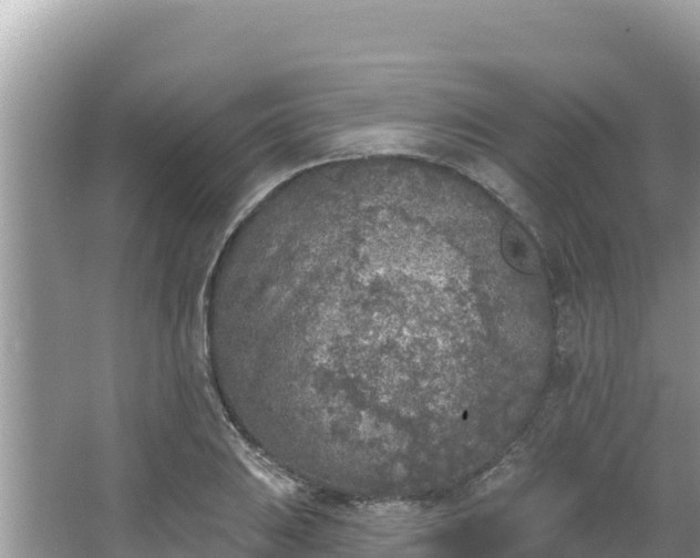 X0000067491031200604101250