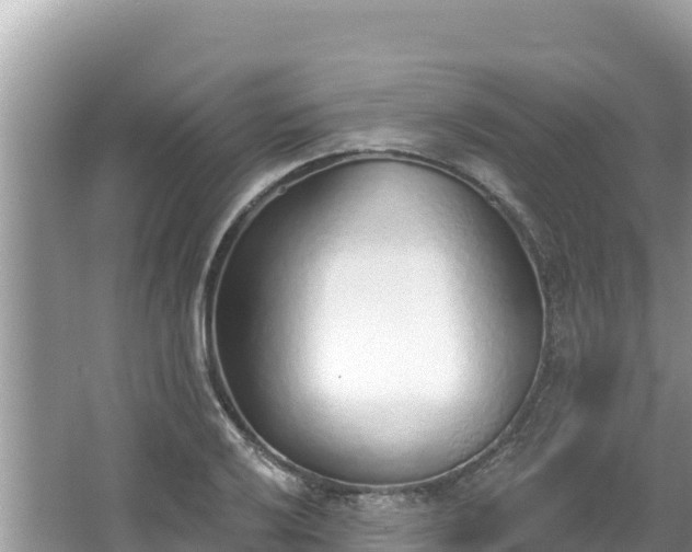 X0000067491032200604101250