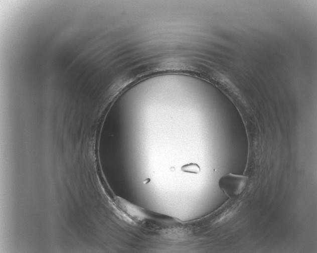 X0000067491033200604101250