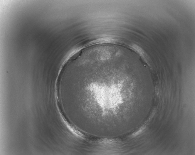 X0000067491034200604101250