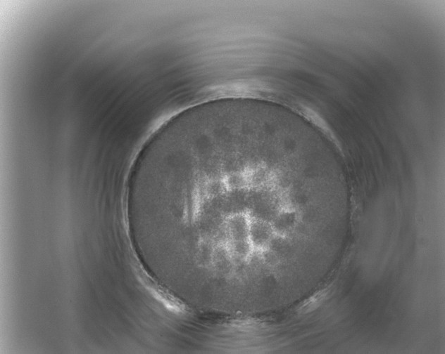 X0000067491035200604101250