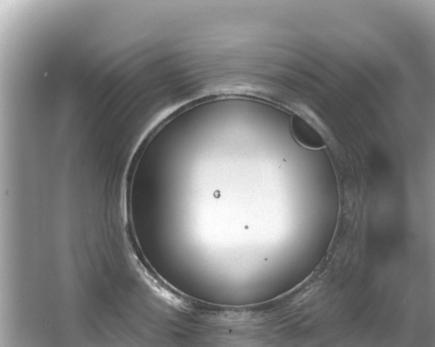 X0000067491036200604101250