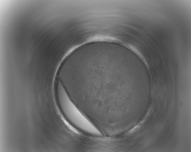 X0000067491037200604101250