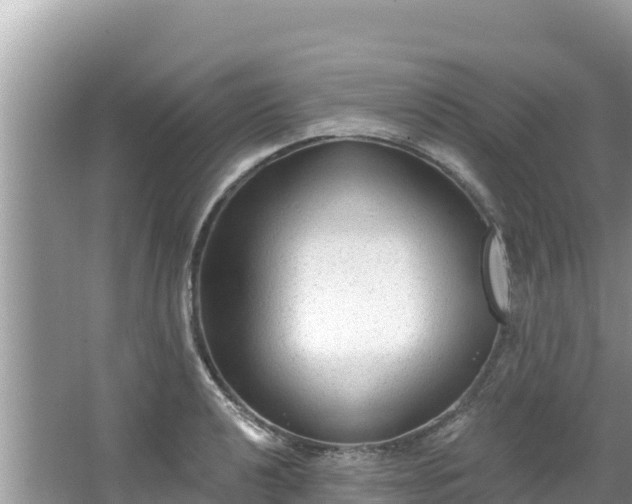 X0000067491040200604101250