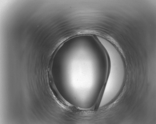 X0000067491041200604101250