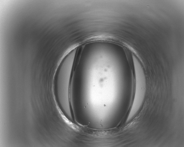 X0000067491042200604101250