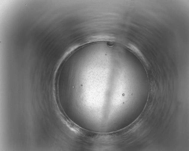 X0000067491043200604101250