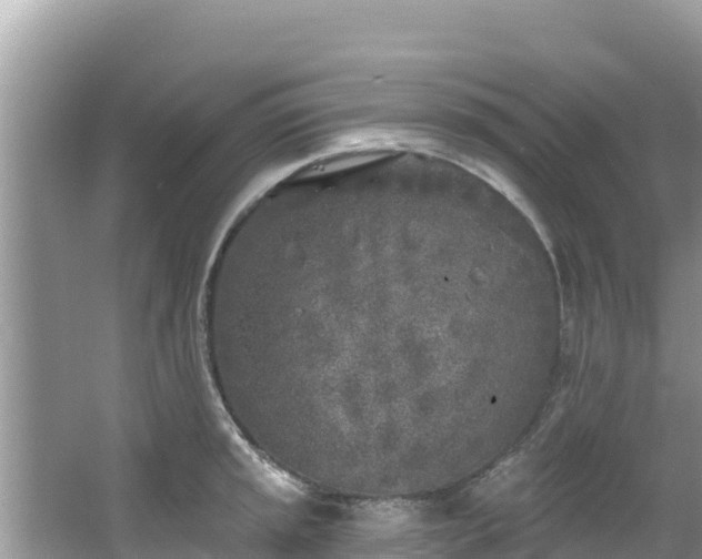 X0000067491045200604101250