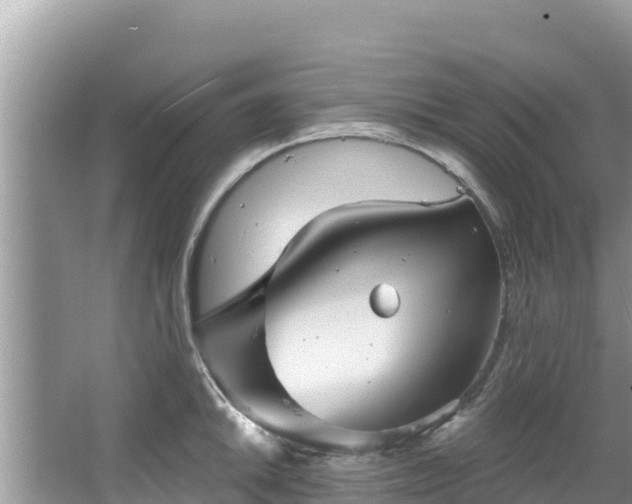 X0000067491046200604101250