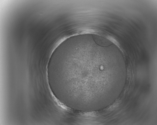 X0000067491047200604101250