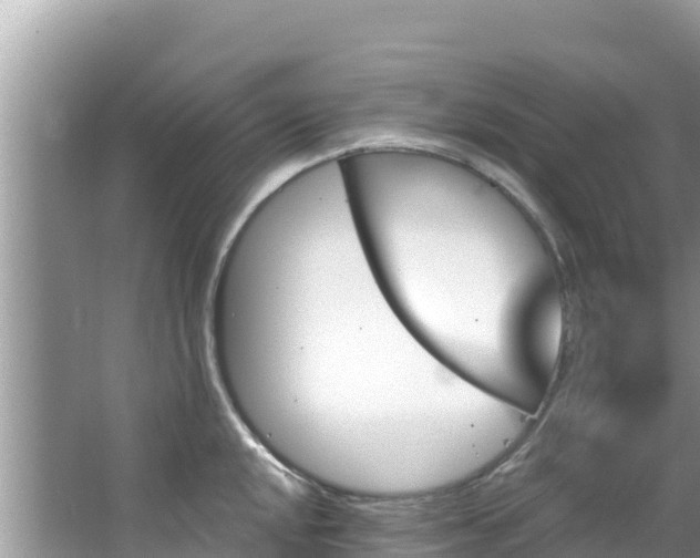 X0000067491048200604101250