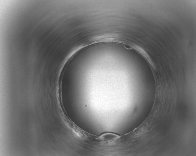 X0000067491051200604101250