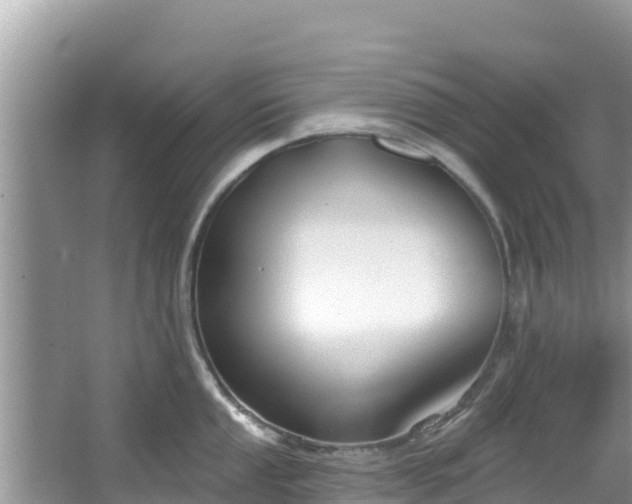 X0000067491053200604101250