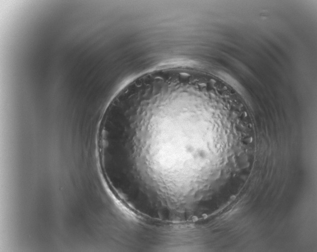 X0000067491055200604101250