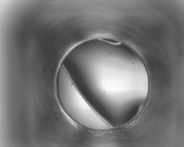 X0000067491056200604101250