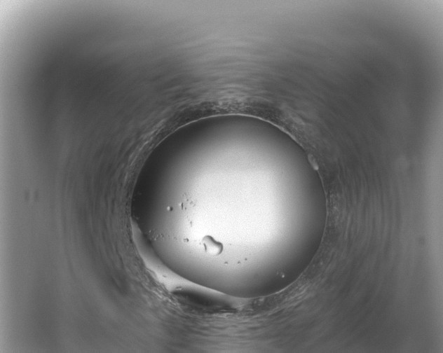 X0000067491057200604101249