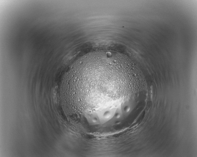 X0000067491059200604101249