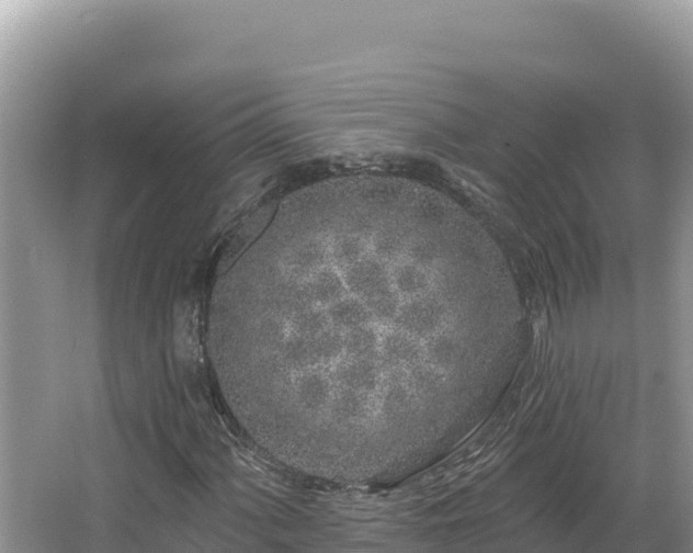 X0000067491060200604101249