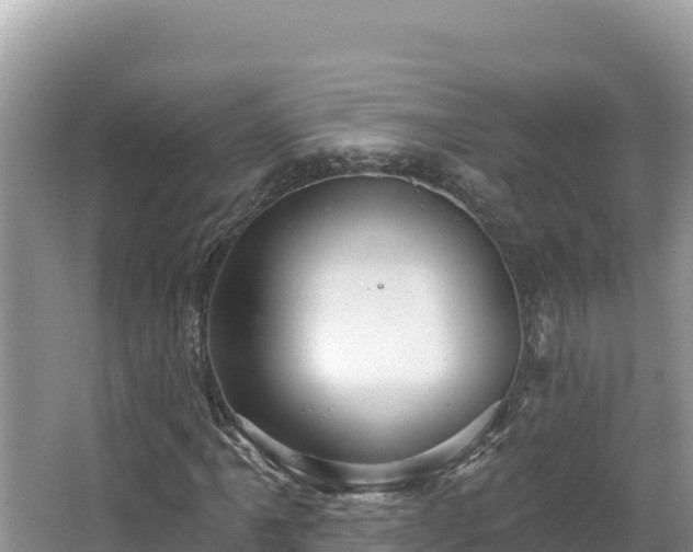 X0000067491061200604101249