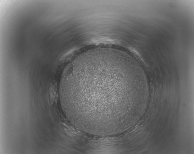 X0000067491063200604101249