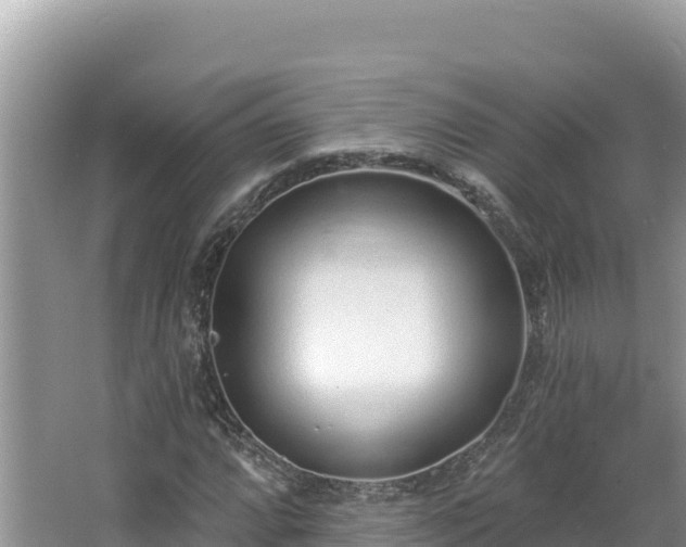 X0000067491064200604101249