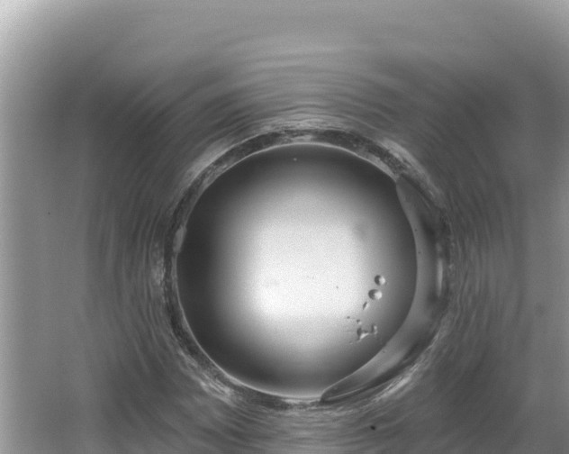 X0000067491065200604101249