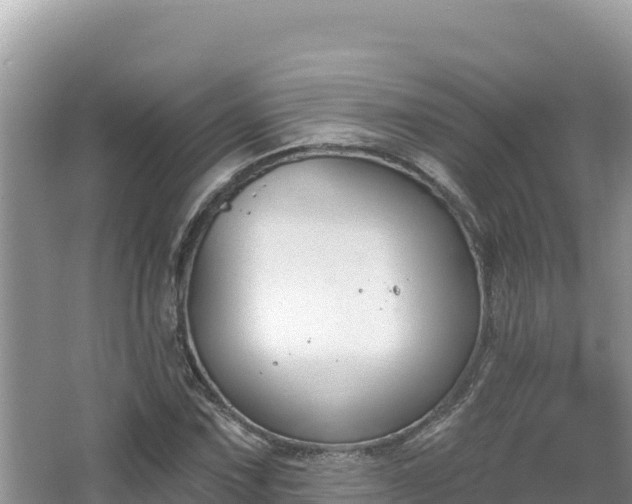 X0000067491067200604101249