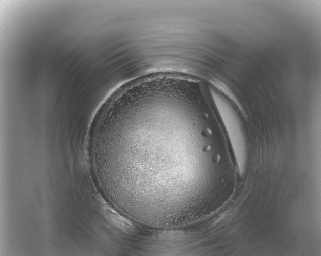 X0000067491068200604101249