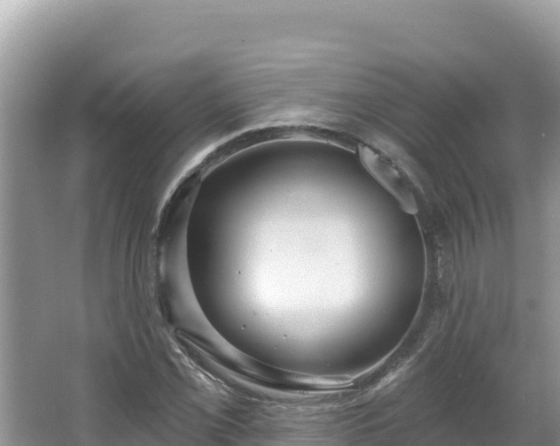 X0000067491069200604101249