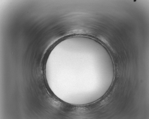 X0000067491070200604101249