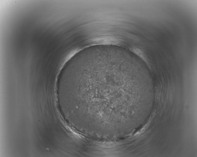 X0000067491071200604101249