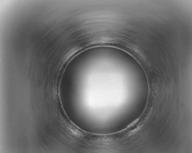 X0000067491073200604101249