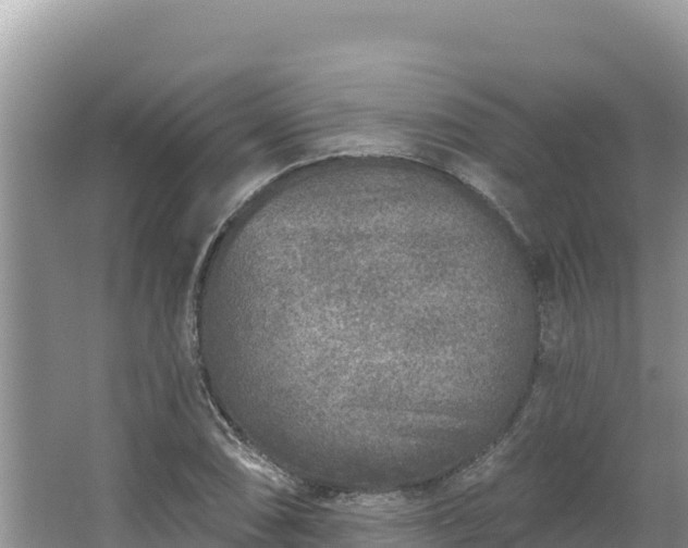 X0000067491074200604101249