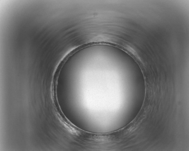 X0000067491076200604101249