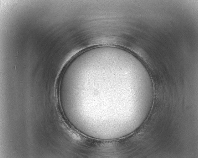 X0000067491078200604101249