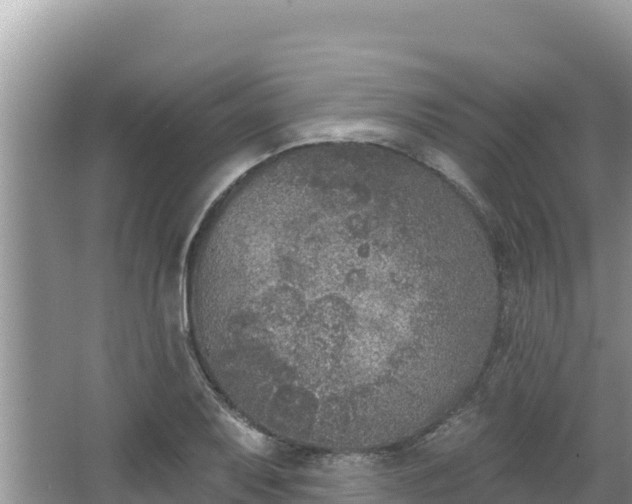 X0000067491079200604101249