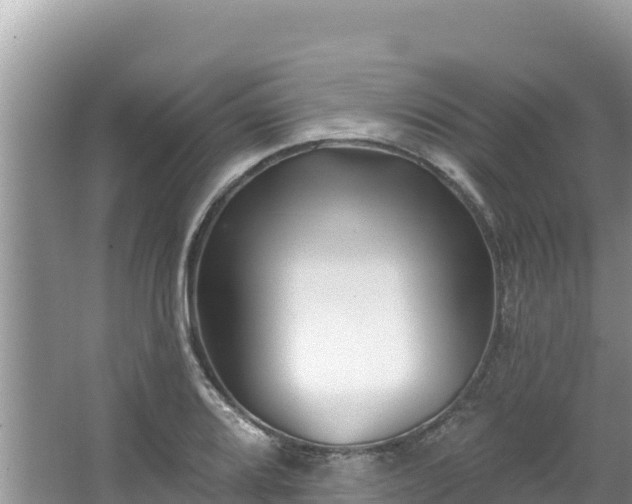 X0000067491080200604101249